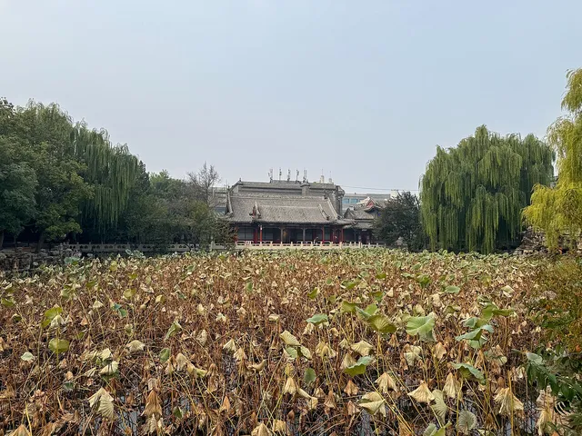 Ancient Lotus Garden, Baoding.