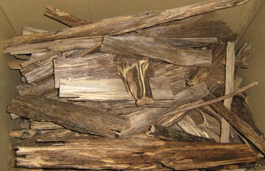 Pieces of dark resinous agarwood photographed close up.