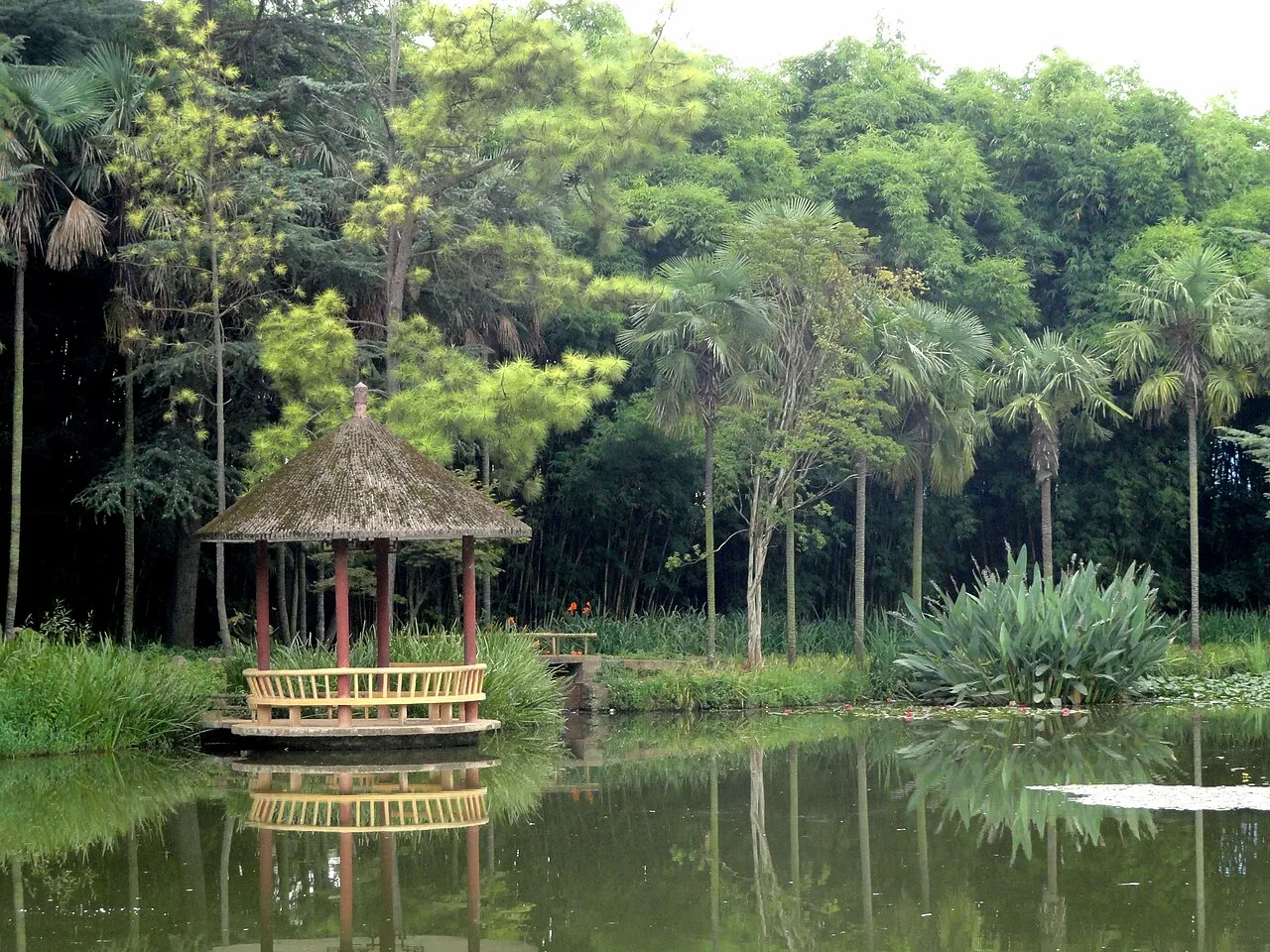 Kunming Botanical Garden, Kunming.