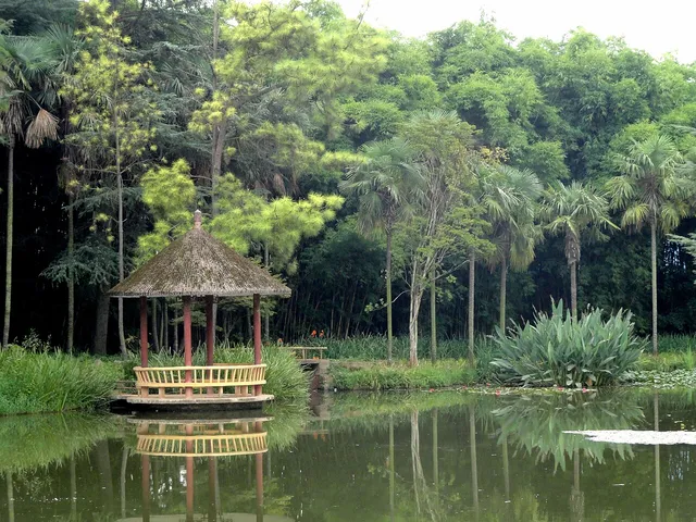 Kunming Botanical Garden, Kunming.