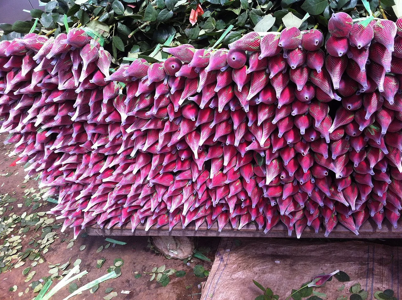 Bundles of pink cut flowers at Kunming’s Dounan Flower Market.