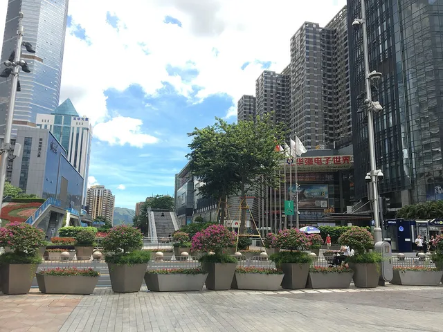 Huaqiangbei Pedestrian Street, Shenzhen.